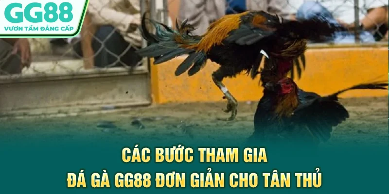 Các bước tham gia đá gà GG88 đơn giản cho tân thủ