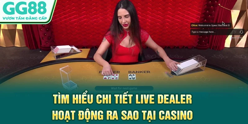 Tìm hiểu chi tiết live dealer hoạt động ra sao tại casino